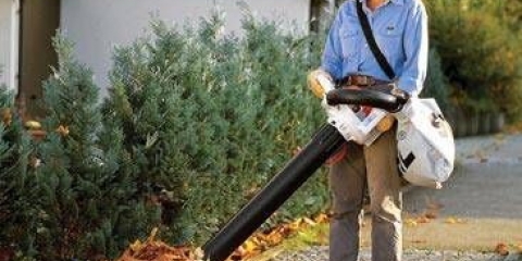 Puhalica za sjeckanje: pregled modela, recenzije